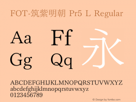 FOT-筑紫明朝 Pr5 L