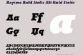 Regime Bold Italic Alt