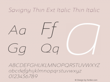 Savigny Thin Ext Italic