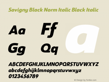 Savigny Black Norm Italic