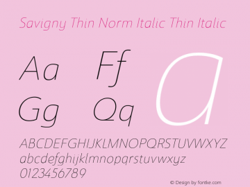 Savigny Thin Norm Italic