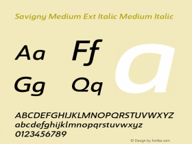 Savigny Medium Ext Italic