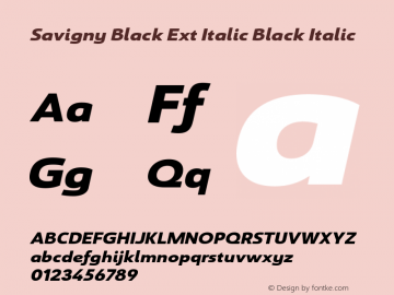 Savigny Black Ext Italic