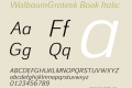 WalbaumGrotesk Book