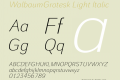 WalbaumGrotesk Light