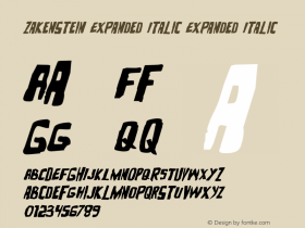 Zakenstein Expanded Italic