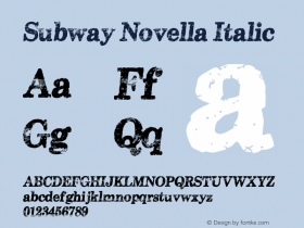 Subway Novella