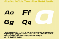 Etelka Wide Text Pro