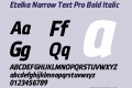 Etelka Narrow Text Pro