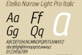 Etelka Narrow Light Pro