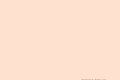 Asia하얀민들레L