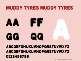 MUDDY TYRES