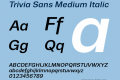 Trivia Sans Medium