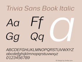 Trivia Sans Book