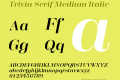 Trivia Serif Medium