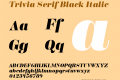 Trivia Serif Black