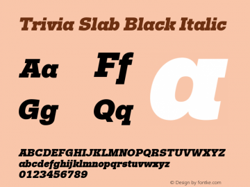 Trivia Slab Black