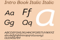 Intro Book Italic