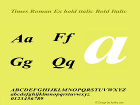 Times Roman Ex bold italic