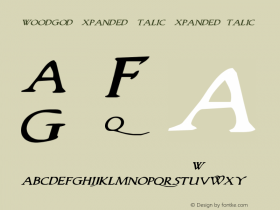Woodgod Expanded Italic