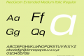 NeoGram Extended Medium Italic