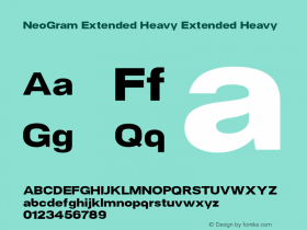 NeoGram Extended Heavy