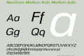 NeoGram Medium Italic