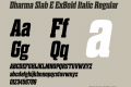 Dharma Slab E ExBold Italic