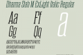 Dharma Slab M ExLight Italic