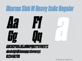 Dharma Slab M Heavy Italic