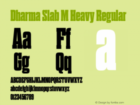 Dharma Slab M Heavy