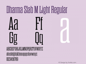 Dharma Slab M Light