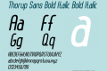 Thorup Sans Bold Italic