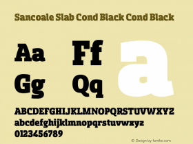 Sancoale Slab Cond Black