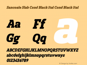 Sancoale Slab Cond Black Ital