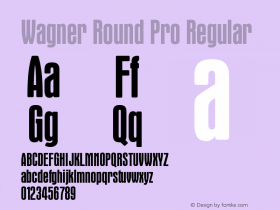 Wagner Round Pro