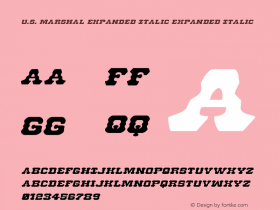 U.S. Marshal Expanded Italic