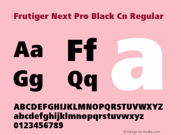 Frutiger Next Pro Black Cn