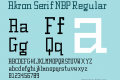 Akron Serif NBP