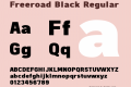 Freeroad Black