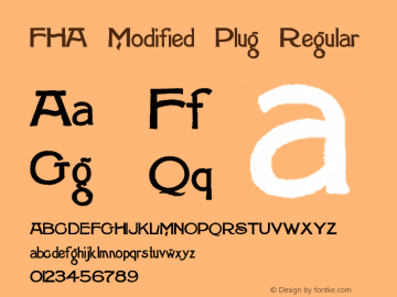 FHA Modified Plug