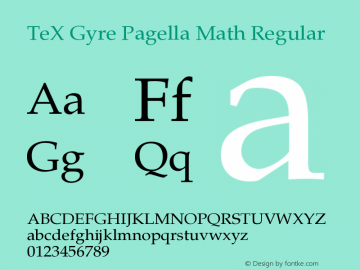 TeX Gyre Pagella Math