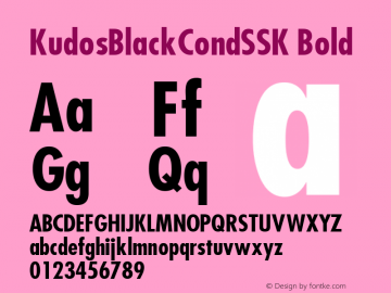 KudosBlackCondSSK