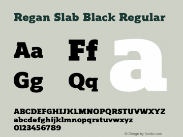 Regan Slab Black