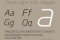 Planer Light Italic