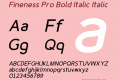 Fineness Pro Bold Italic
