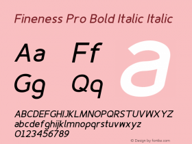 Fineness Pro Bold Italic