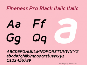 Fineness Pro Black Italic