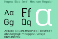 Hapna Slab Serif Medium