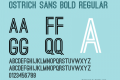 Ostrich Sans Bold